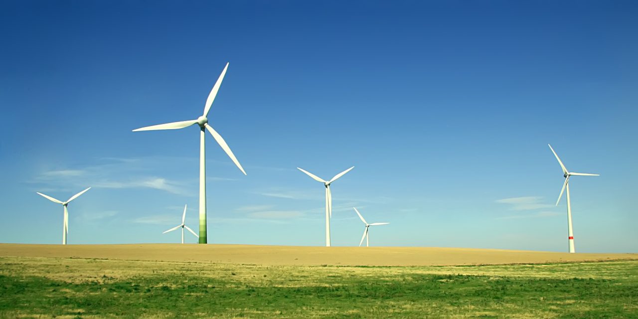 Une Première Ministre ne doit pas couvrir les délinquants contre SA Police.