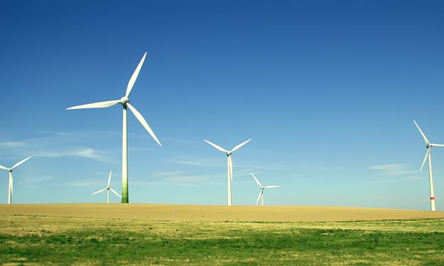 Une Première Ministre ne doit pas couvrir les délinquants contre SA Police.