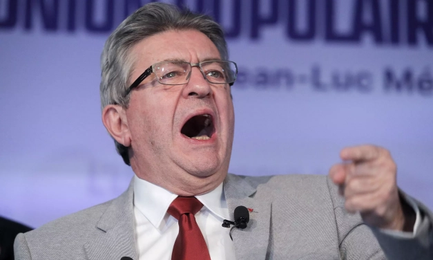 Les Cloportes Insoumis : Un Nouveau Mouvement de Terrain